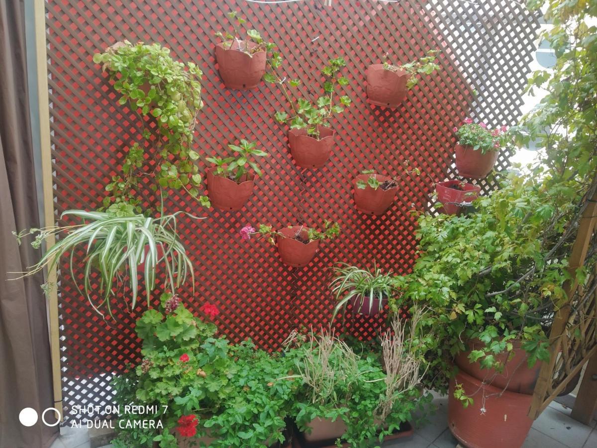 Habitacion Familiar En Un Atico Con Gran Terraza Y,Cocina ,En La Playa 巴里亚纳 外观 照片